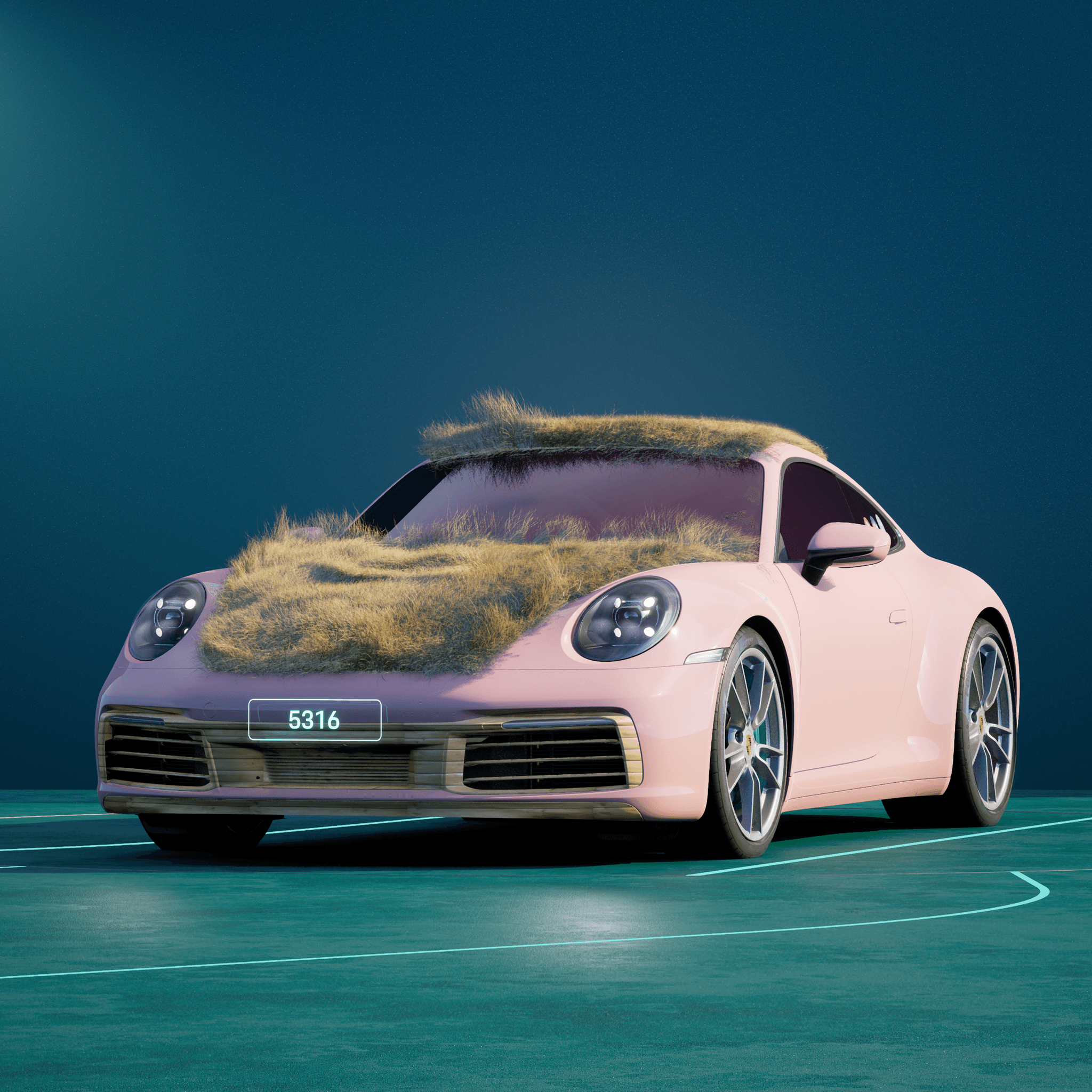 The PORSCHΞ 911 5316 image in phase