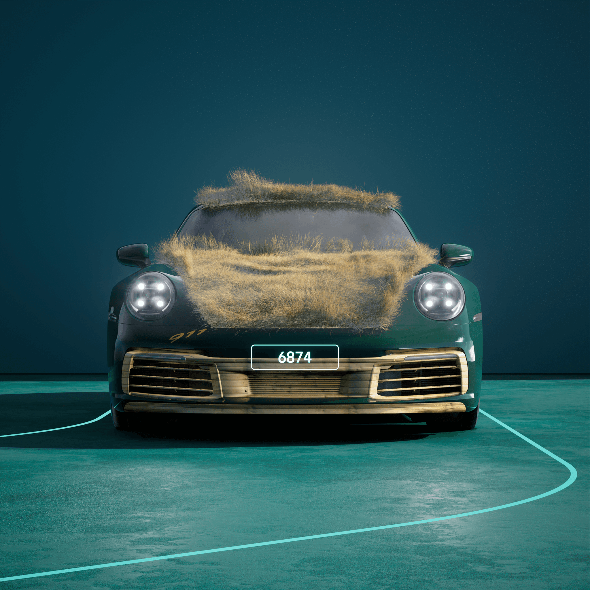 The PORSCHΞ 911 6874 image in phase