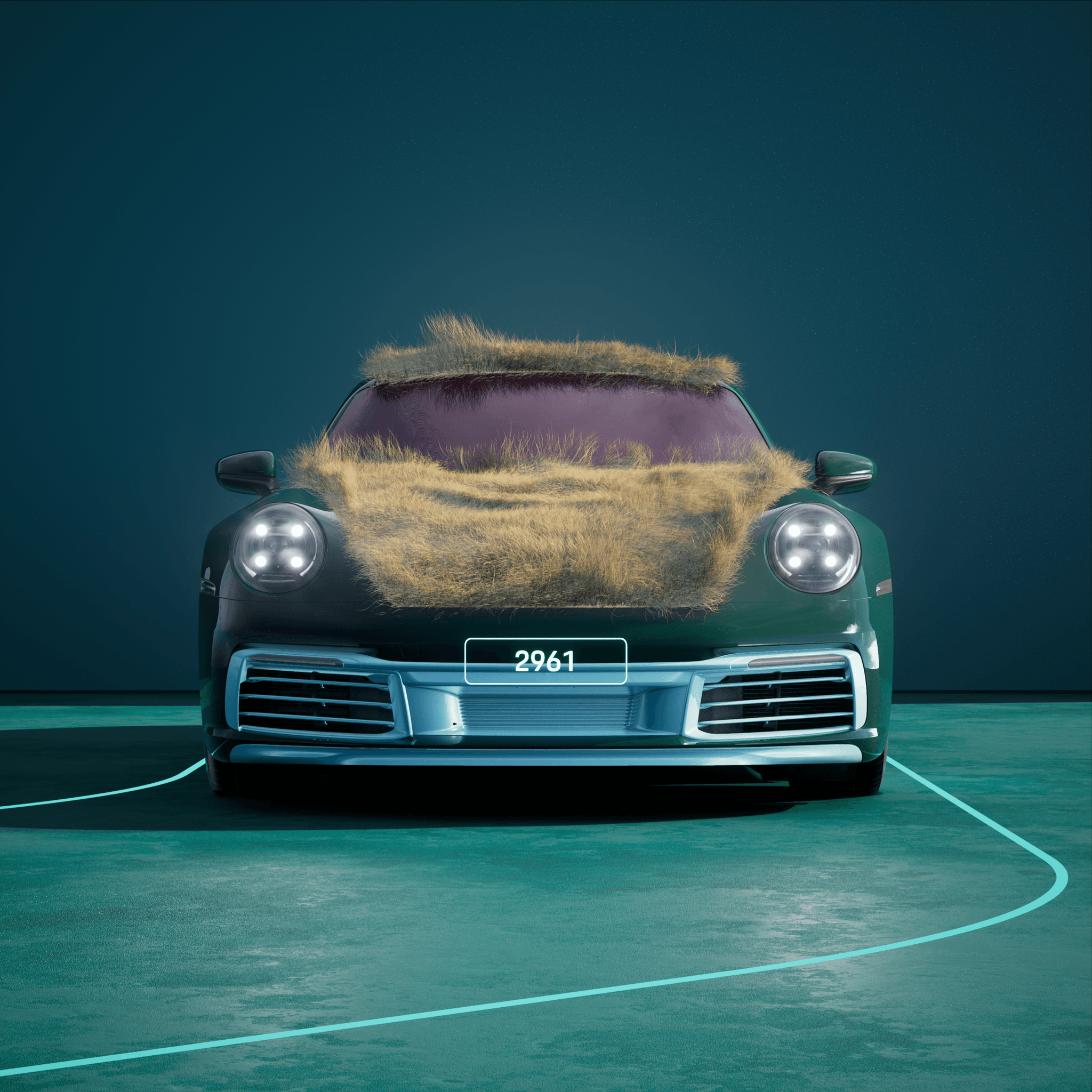 The PORSCHΞ 911 2961 image in phase