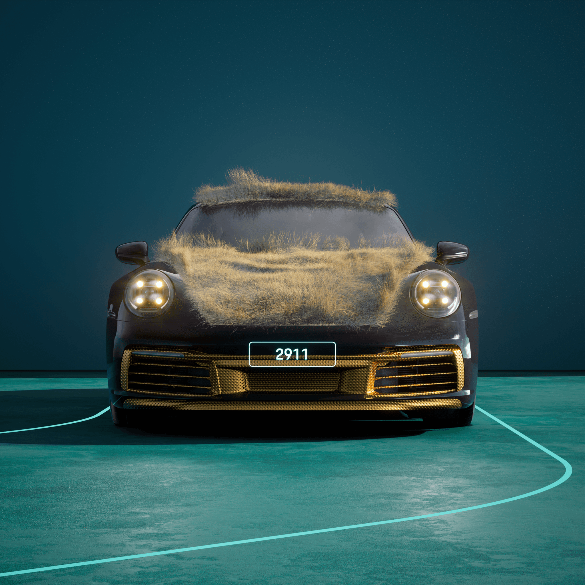 The PORSCHΞ 911 2911 image in phase