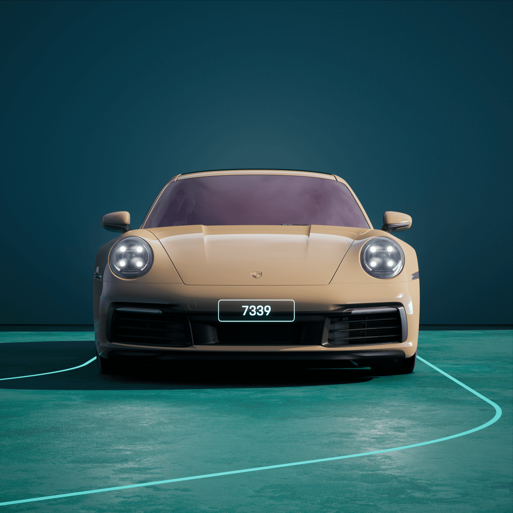 The PORSCHΞ 911 7339 image in phase