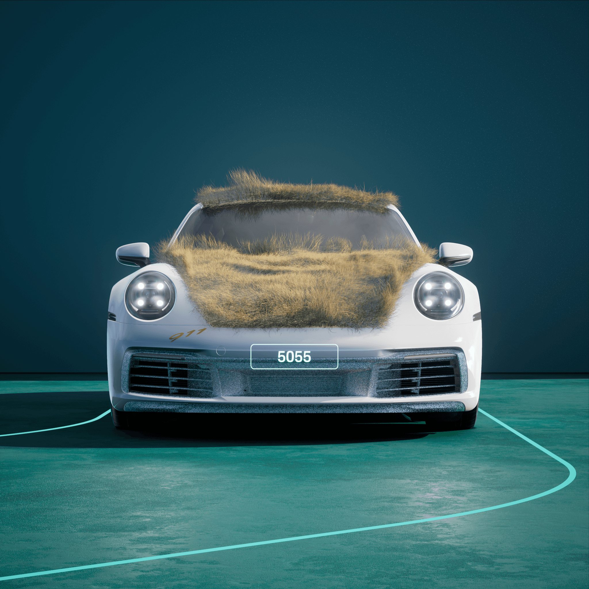 The PORSCHΞ 911 5055 image in phase