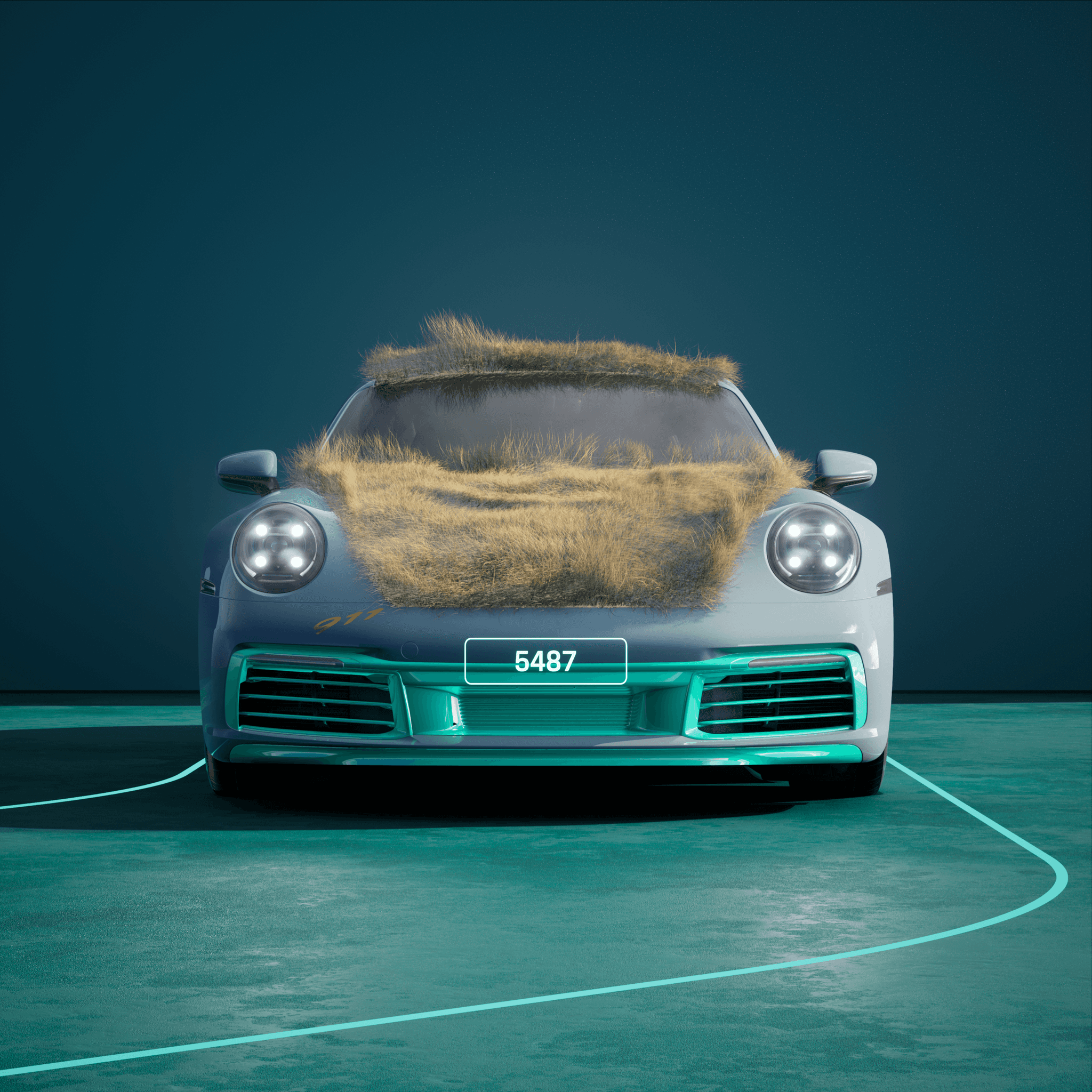 The PORSCHΞ 911 5487 image in phase