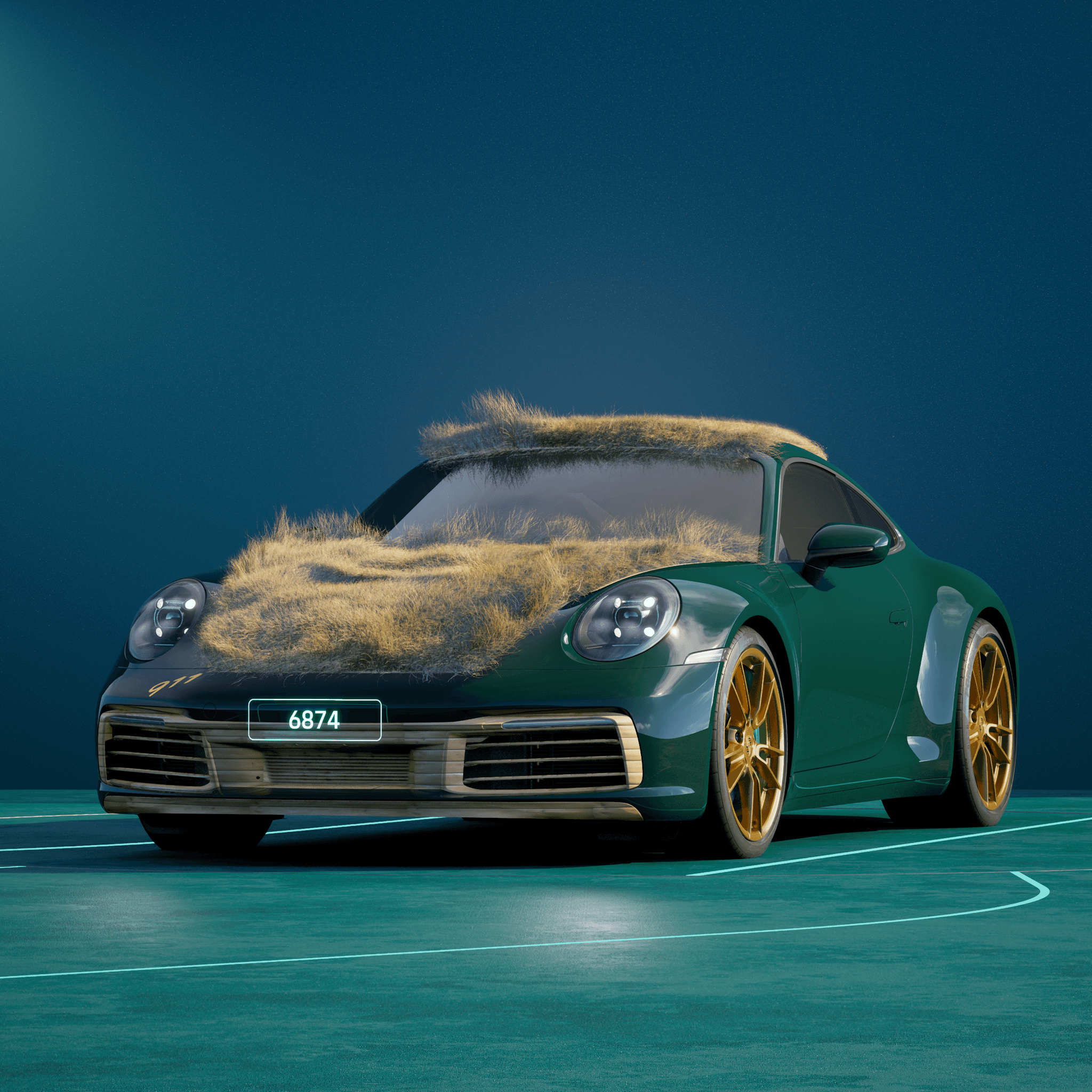The PORSCHΞ 911 6874 image in phase