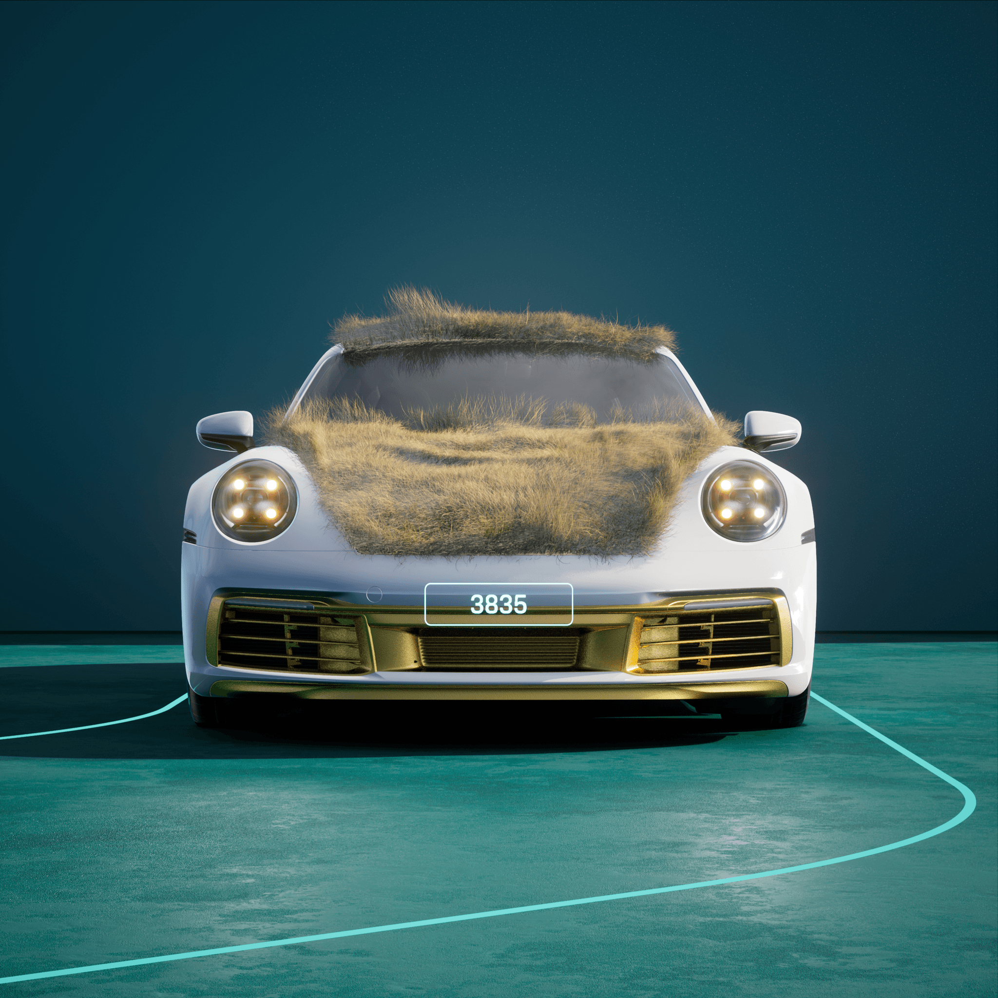 The PORSCHΞ 911 3835 image in phase